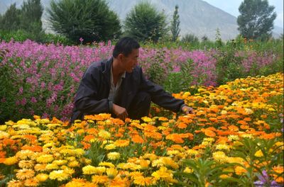 金佛寺鎮(zhèn)花卉種植基地 黨建引領(lǐng)下的豆類(lèi)產(chǎn)業(yè)新篇章